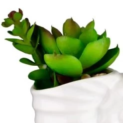 B&M Scandi Shore Small Shell Succulent -Home Improvement Store 380110 small shell succulent 2