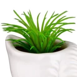 B&M Scandi Shore Small Shell Succulent -Home Improvement Store 380110 small shell succulent 5