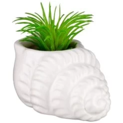 B&M Scandi Shore Small Shell Succulent -Home Improvement Store 380110 small shell succulent 6