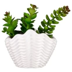 B&M Scandi Shore Small Shell Succulent -Home Improvement Store 380110 small shell succulent 7