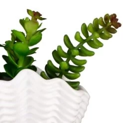 B&M Scandi Shore Small Shell Succulent -Home Improvement Store 380110 small shell succulent 8