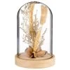 B&M Dried Flowers In Cloche - Natural