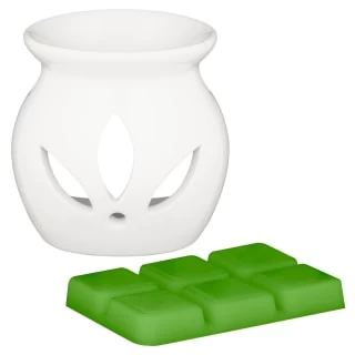 B&M Oil Burner & Wax Melt Set - Watermelon 4 B&M Oil Burner & Wax Melt Set - Watermelon - Image 2