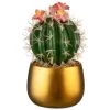 B&M Lush Paradise Cactus In Gold Pot -Home Improvement Store 380714 cactus in gold pot