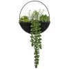 B&M Eden Life Round Trailing Plant -Home Improvement Store 380727 black hanging trailing plant
