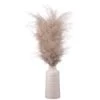 B&M Pampas In White Vase