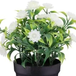 Home Improvement Store -Home Improvement Store 392825 daisies in pot white