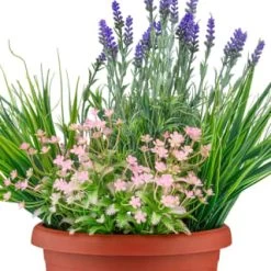 Bloom Flowers In Large Planter - Light Pink 6 Bloom Flowers In Large Planter - Light Pink -Home Improvement Store 392831 flowers in large planter 2