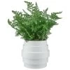 Bloom Premium Foliage In Cream Planter -Home Improvement Store 392863 premium foliage in cream planter