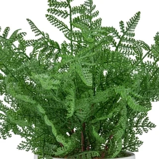 Bloom Premium Foliage In Cream Planter 4 Bloom Premium Foliage In Cream Planter - Image 2