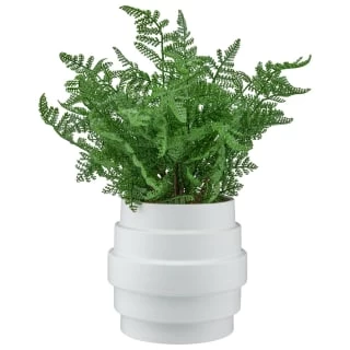 Bloom Premium Foliage In Cream Planter 3 Bloom Premium Foliage In Cream Planter