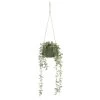 B&M Hanging Foliage In Green Ceramic Pot -Home Improvement Store 394335 hanging green pot foliage
