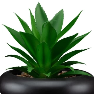 B&M Succulent In Bubble Vase 4 B&M Succulent In Bubble Vase - Image 2