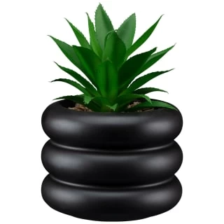 B&M Succulent In Bubble Vase 3 B&M Succulent In Bubble Vase