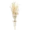 B&M Dried Flower Bunches - Pink -Home Improvement Store 394378 neutral dried bunches 3