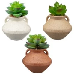 B&M Small Succulent Vase - Orange -Home Improvement Store 394662 small vase succulent group