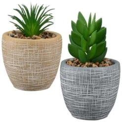 B&M Small Succulent Pot - Stone 7 B&M Small Succulent Pot - Stone -Home Improvement Store 394663 small succulent group