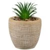 B&M Small Succulent Pot - Stone -Home Improvement Store 394663 small succulent stone