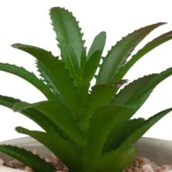 B&M Assorted Embossed Pots -Home Improvement Store 394664 embossed pot 2