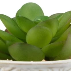 B&M Assorted Embossed Pots -Home Improvement Store 394664 embossed pot 6