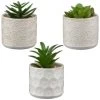 B&M Assorted Embossed Pots -Home Improvement Store 394664 embossed pot group
